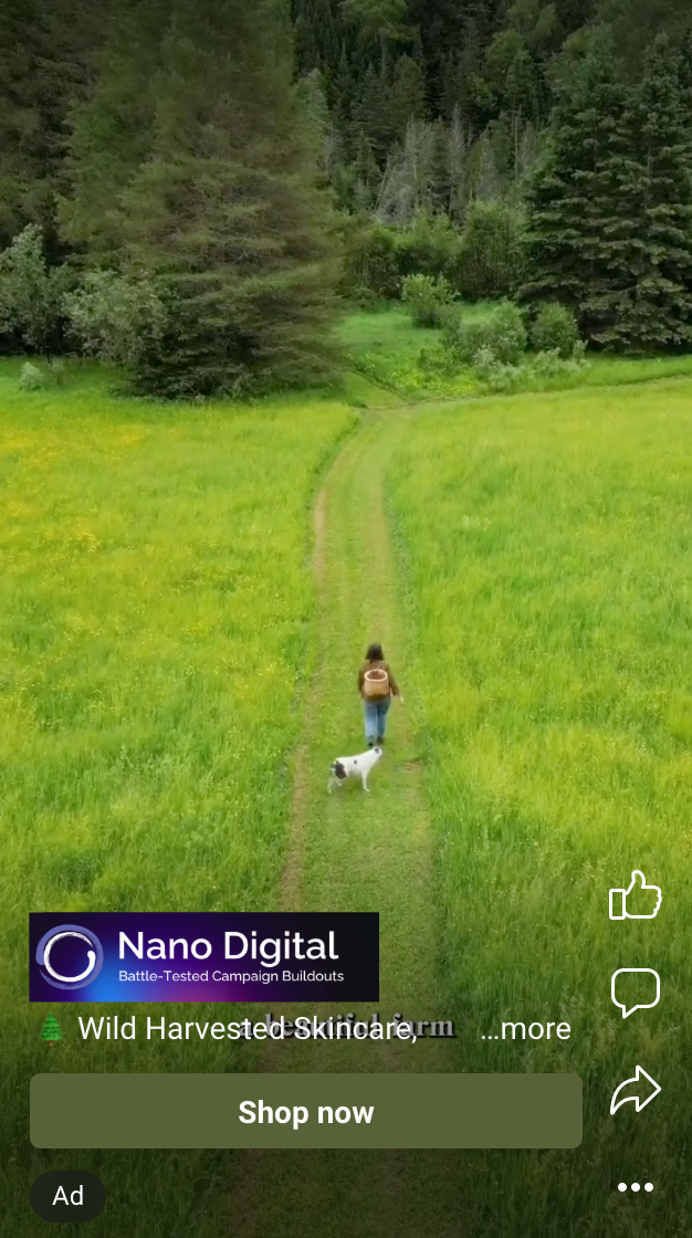 4.NanoNicheIndustryDigitalMarketing