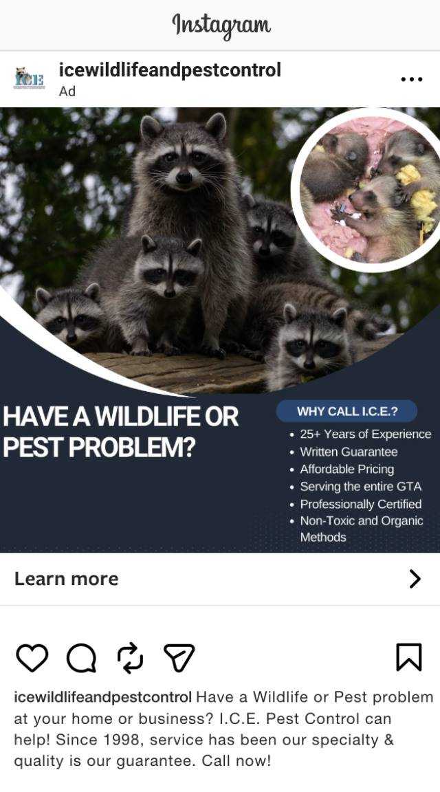 6.NanoPestWildlifeControlDigitalMarketing